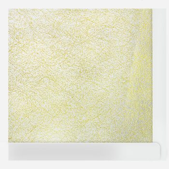 Allergy FILTER