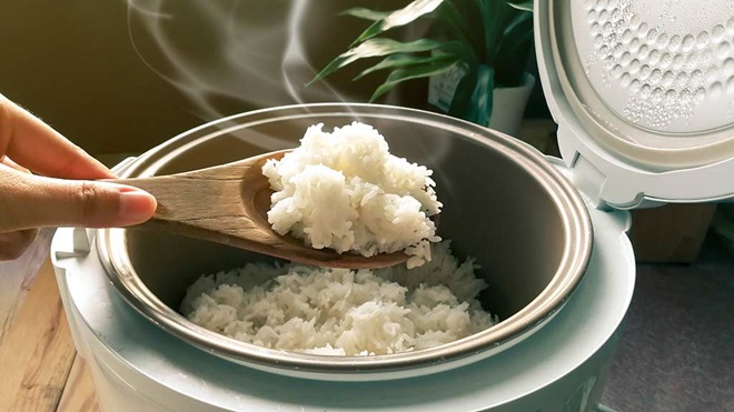 افضل أنواع طباخ أرز في السعودية عبر مجموعة شاكر